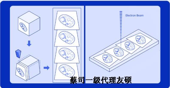 恩施蔡司恩施扫描电镜