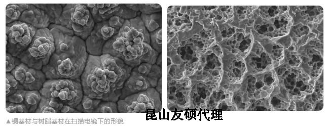 恩施蔡司恩施扫描电镜